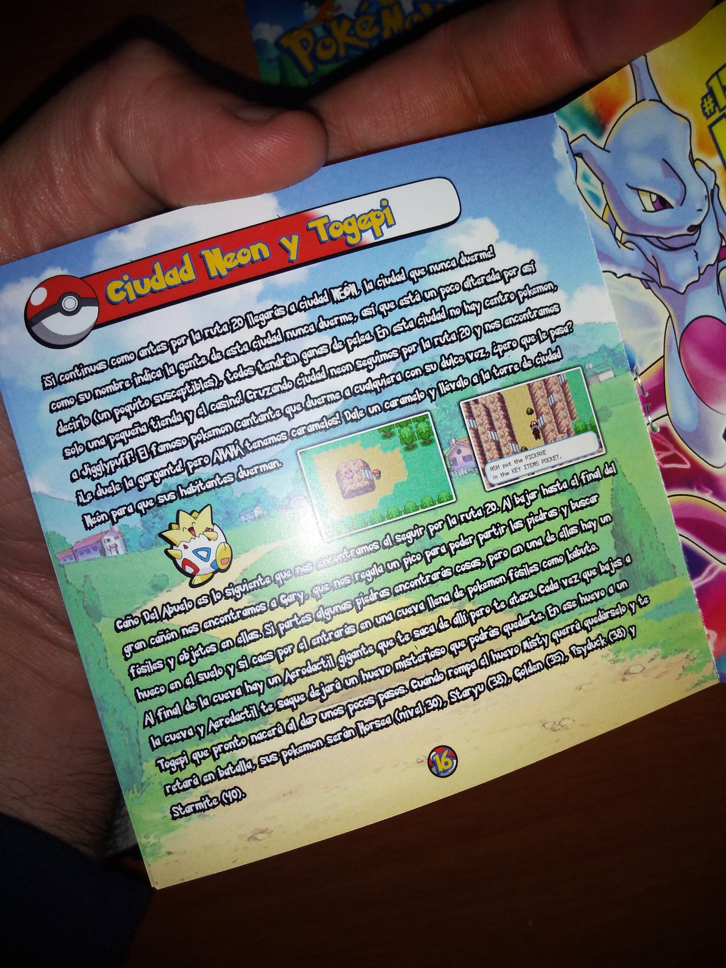 Pokémon Ash Gray Game Boy Advance Spanish