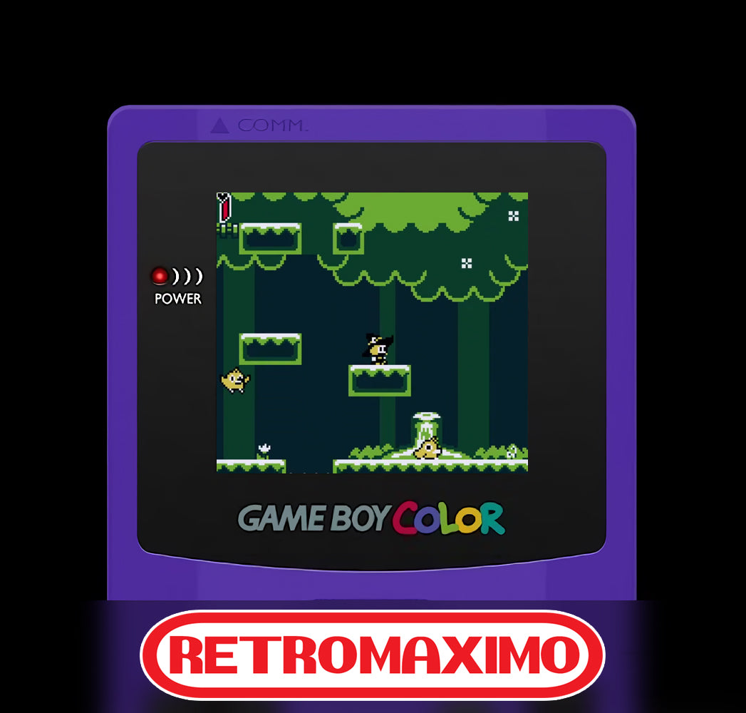 Delia The Traveling Witch Nintendo Game Boy, Game Boy Color y Game Boy Advance