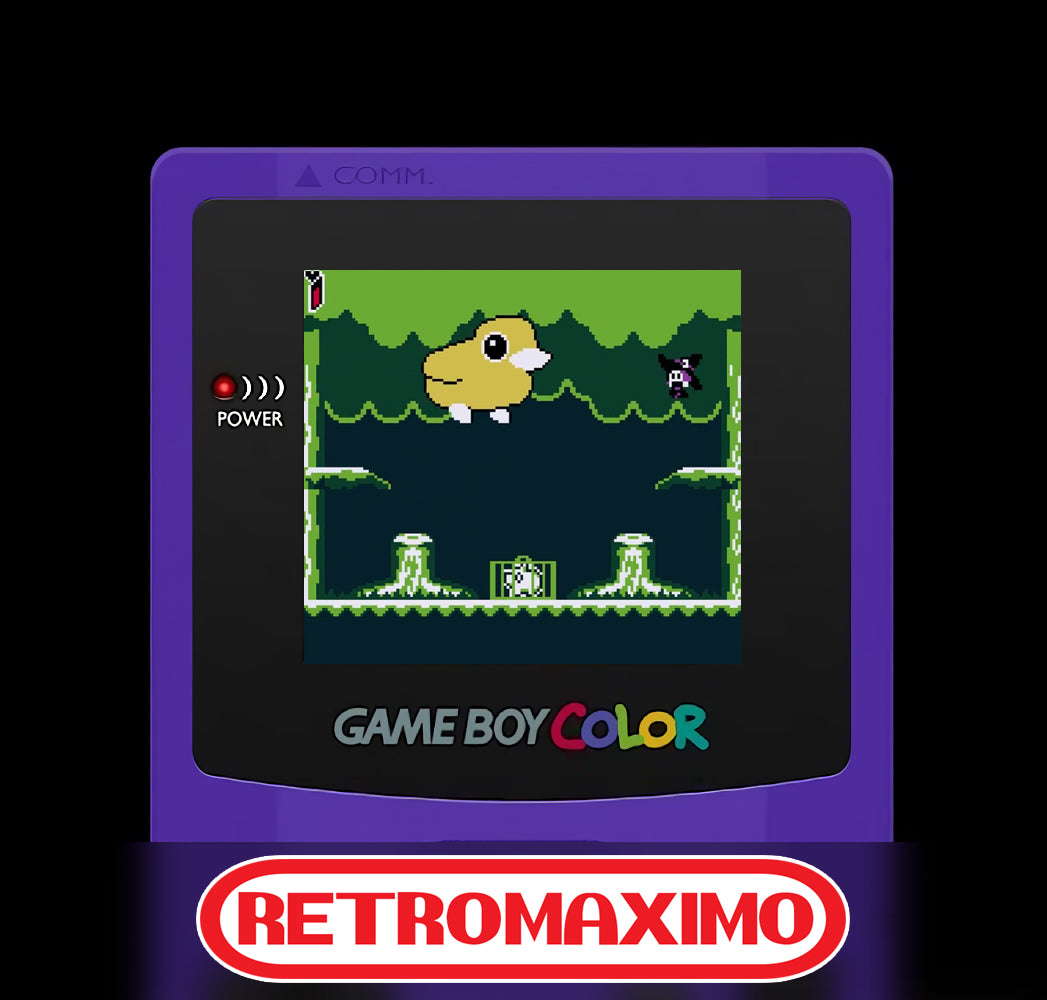 Delia The Traveling Witch Nintendo Game Boy, Game Boy Color y Game Boy Advance