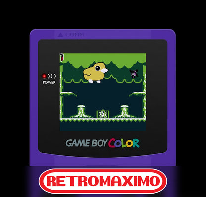 Delia The Traveling Witch Nintendo Game Boy, Game Boy Color y Game Boy Advance