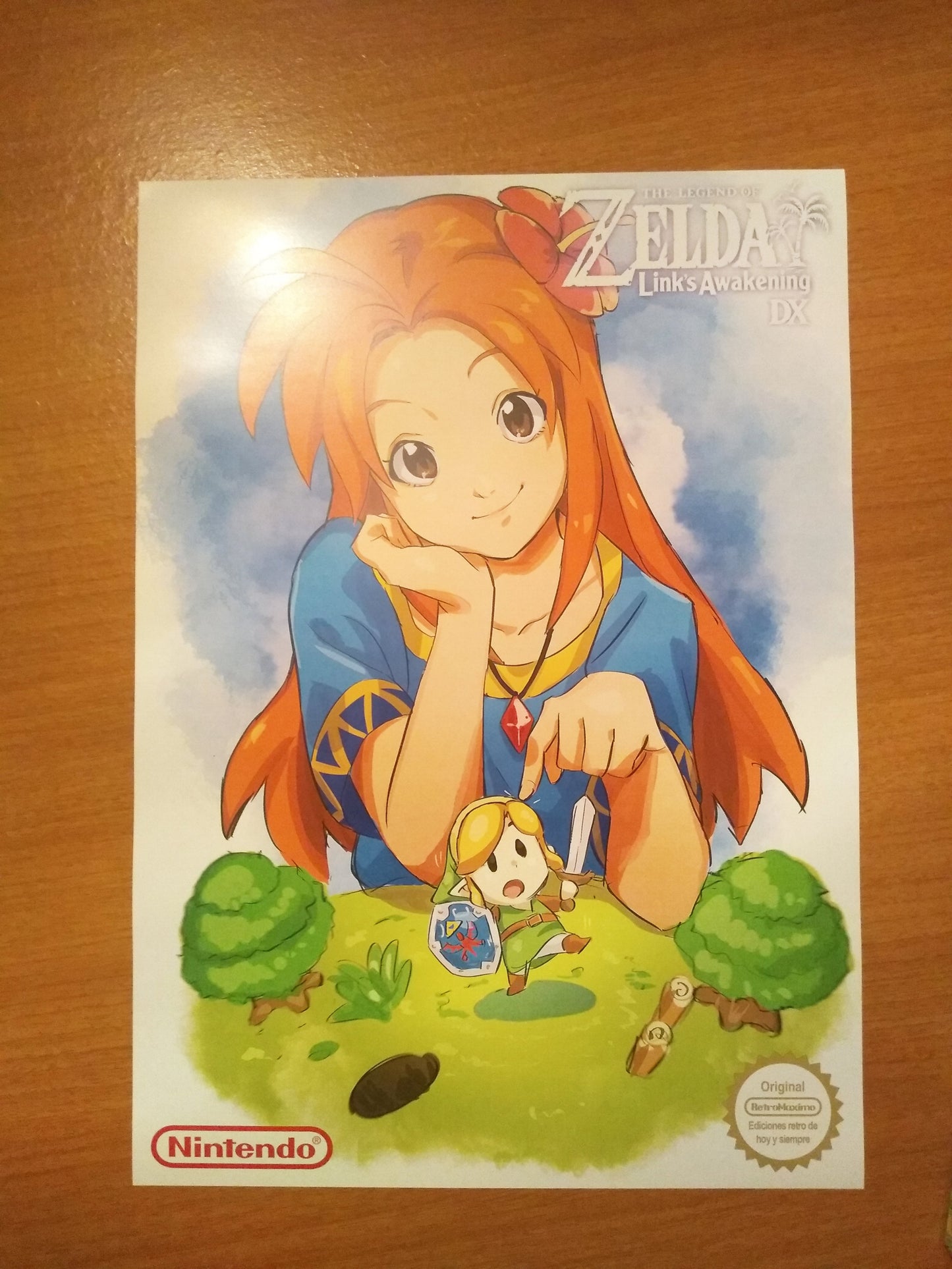 Zelda Link's Awakening Remake Art Game Boy - Game Boy Color - Game Boy Advance